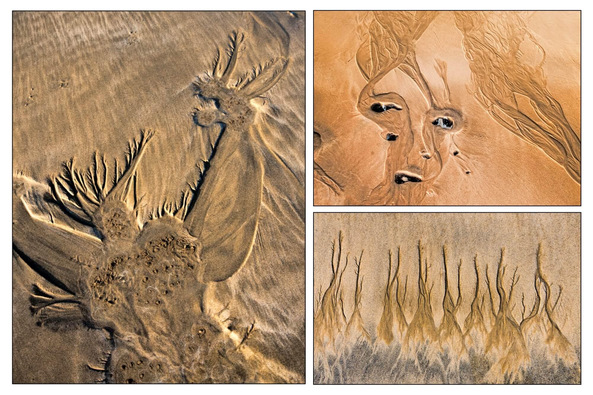 Pictures on the sand. Neptune rising from the deep, a face, flint eyes, sweeping hair. Trees walking in a line. 