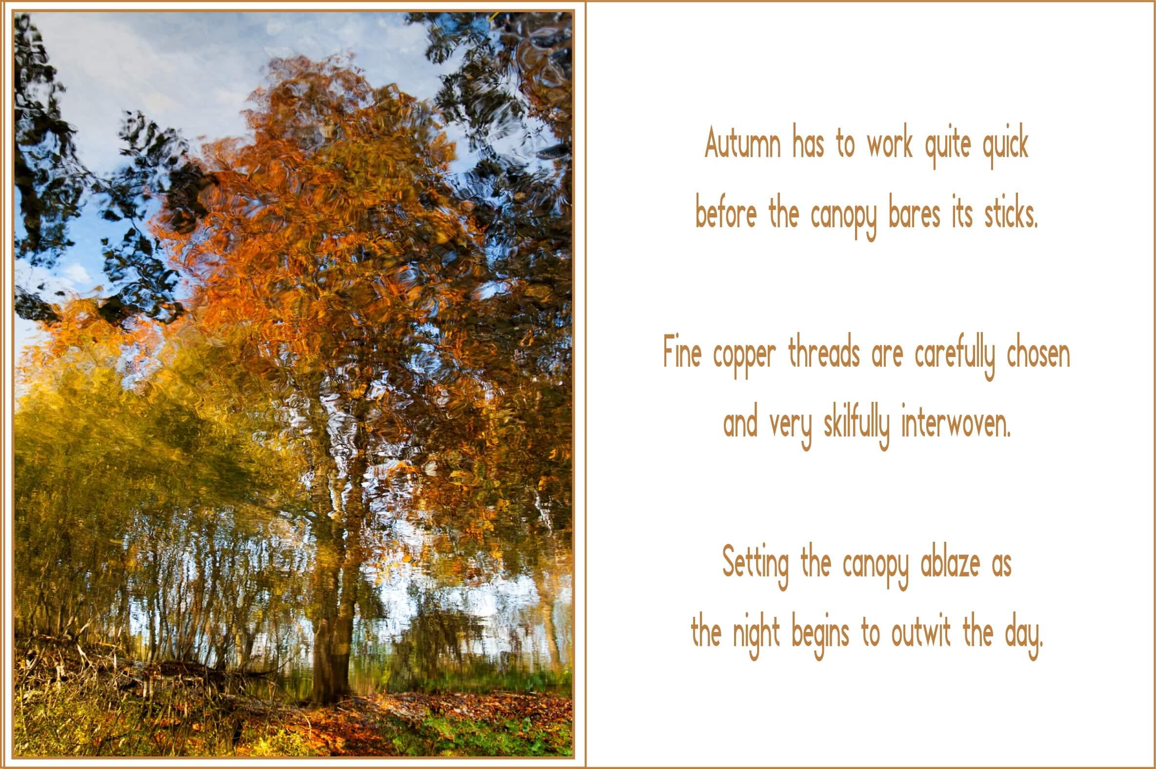 Vibrant autumn colours reflect in a lake, the wind rippling the water distorts the reflection, making it look like fire.