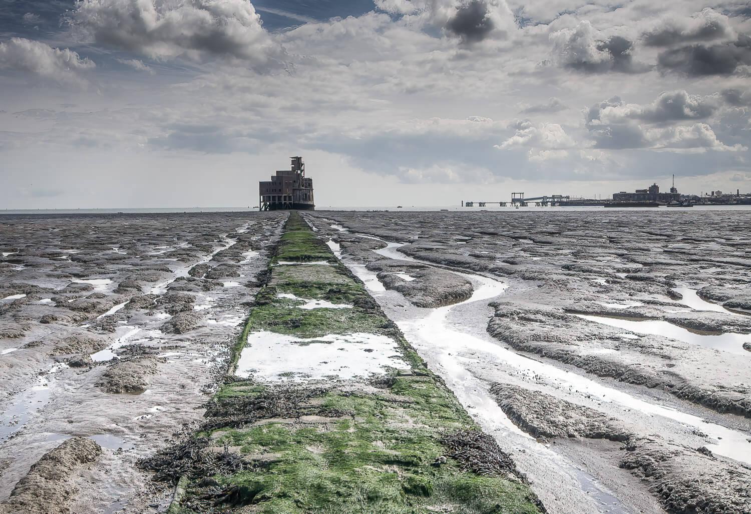 Seaweed covered brick path, leading to Grain Napoleonic Tower, placed where the river Medway and the Thames merge.