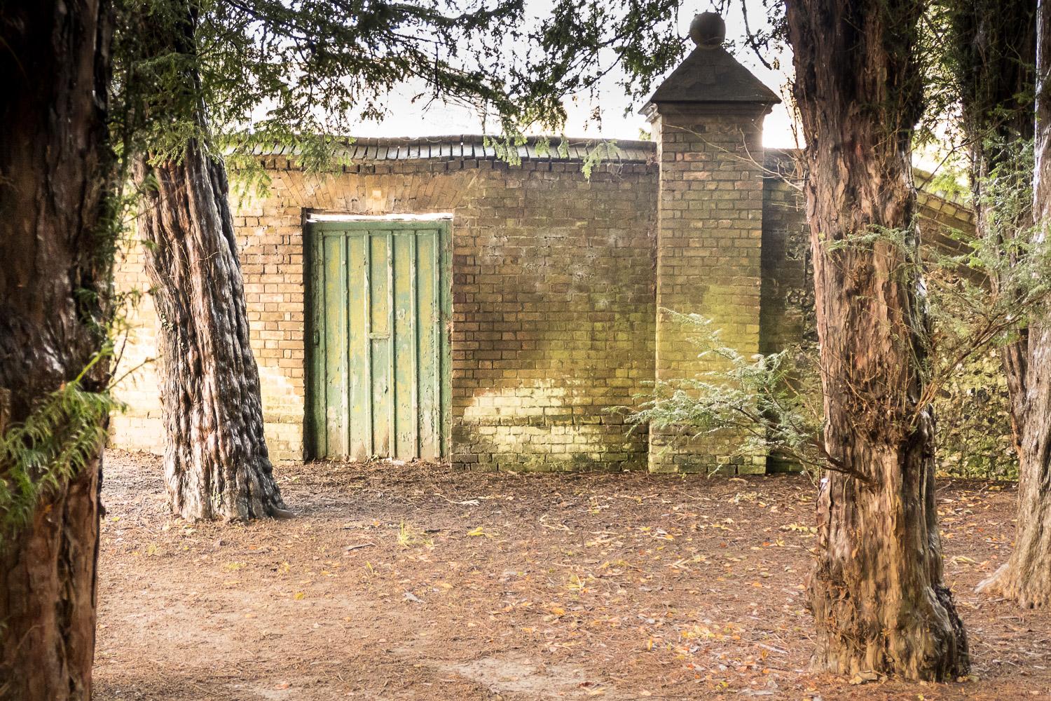 An old green wooden door stands shut, in an old brick wall, surrounded by evergreen trees.