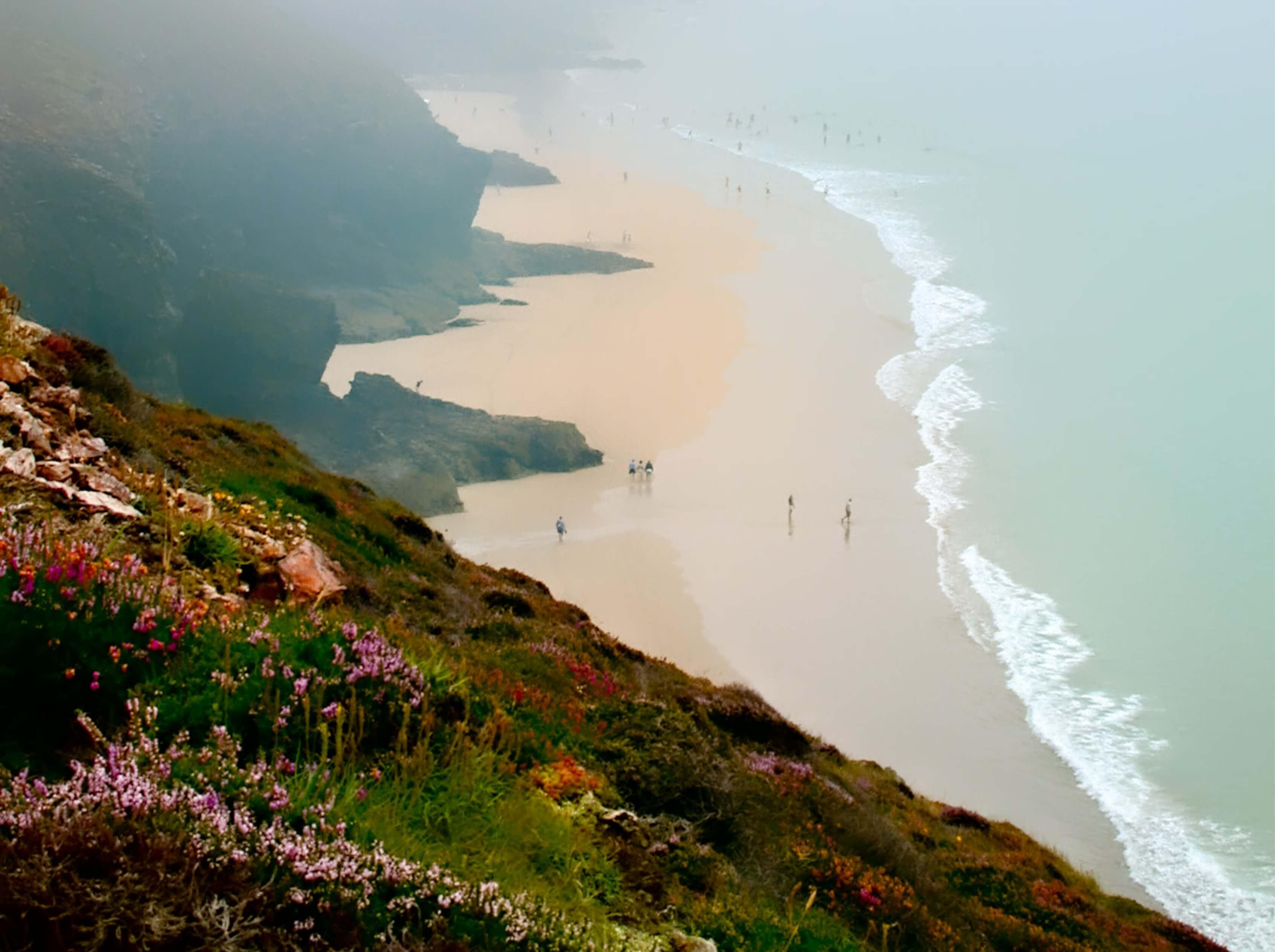 Heather on the cliff top, looking down over a sandy beach, sea mist is rising up over the cliffs, obscuring swimmers.