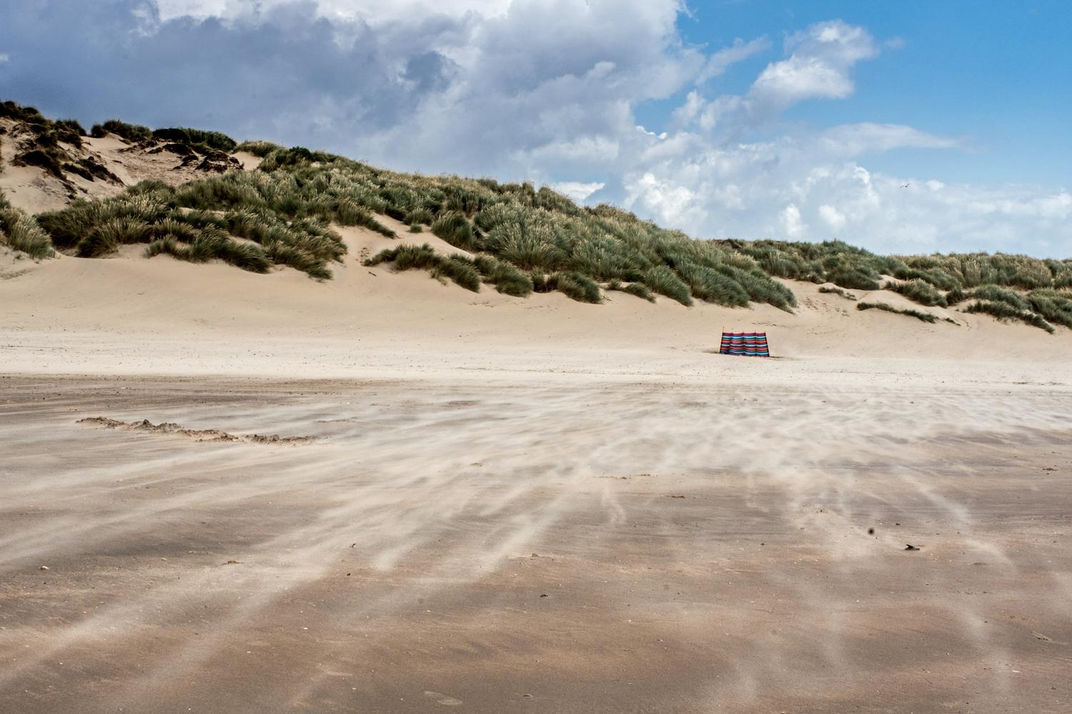 Sandy Beach with high sand dunes, green spikey grass is buffeted by wild winds. Fine sand is being flung into the air.