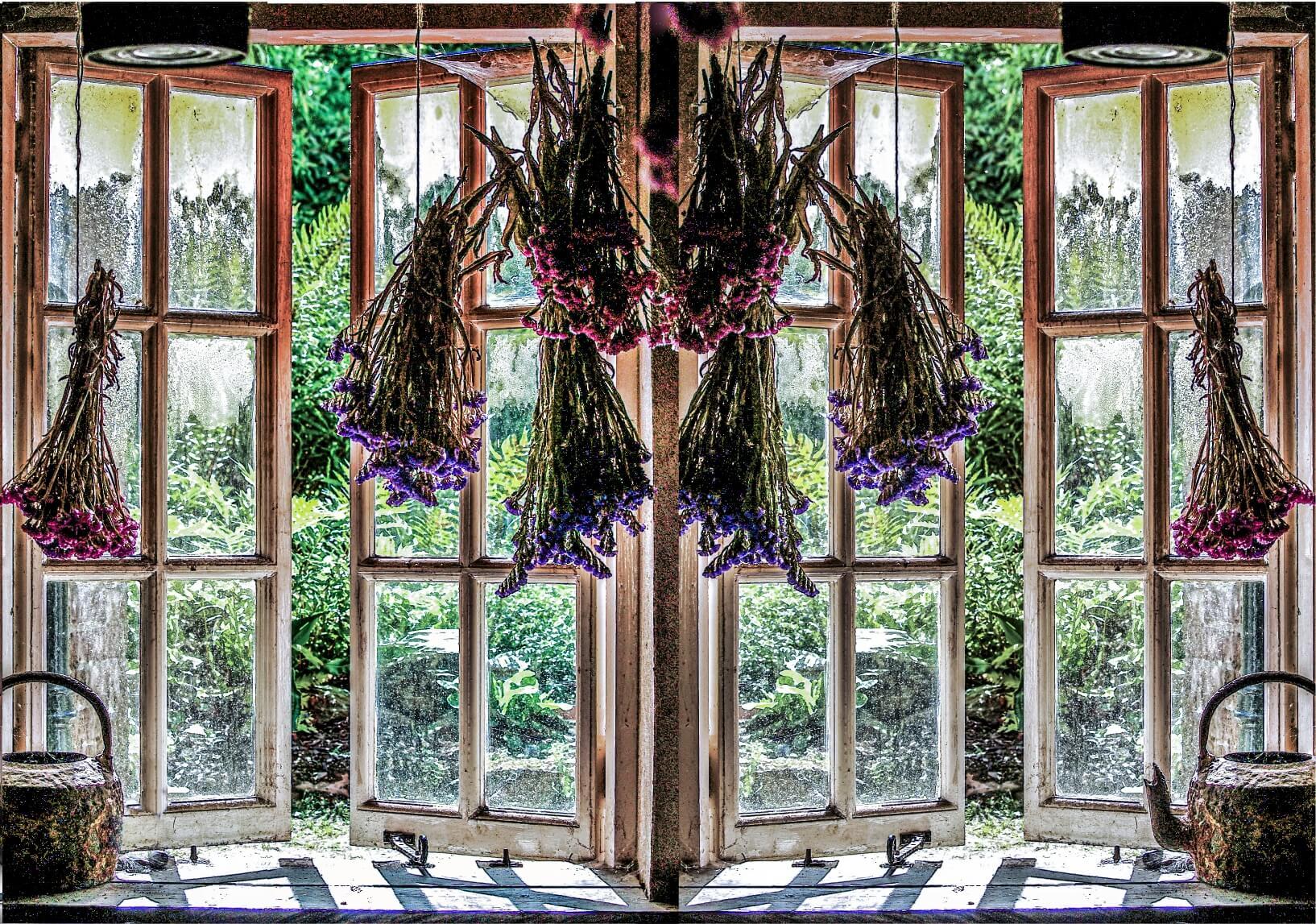 Partially open wooden frame window, six panes of glass in each, looking out of an old outbuilding towards a lush green garden.